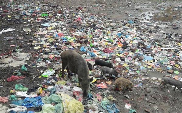 most of the area is backward in development