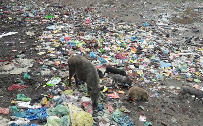 ਜ਼ਿਆਦਾਤਰ ਇਲਾਕੇ ਵਿਕਾਸ ਪੱਖੋਂ ਪੱਛੜੇ