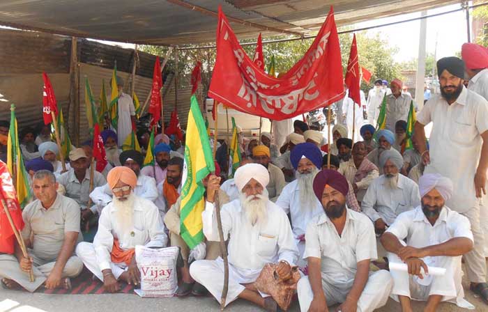 ਕਿਰਤੀ ਕਿਸਾਨ ਯੂਨੀਅਨ ਨੇ ਡੀ. ਸੀ. ਦਫਤਰ ਸਾਹਮਣੇ ਦਿੱਤਾ ਧਰਨਾ