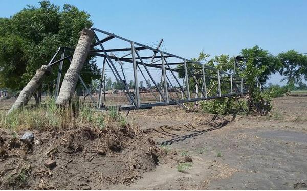 due to heavy rainfall due to rain  markets flooded by storm  broken trees