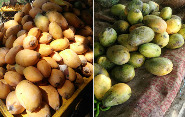 ਕੈਮੀਕਲ ਨਾਲ ਪਕਾ ਕੇ ਵੇਚੇ ਜਾ ਰਹੇ ਹਨ ਫਲ