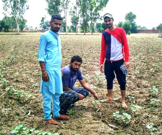 ਮੀਂਹ ਕਾਰਨ ਮੌਸਮ ਹੋਇਆ ਖੁਸ਼ਗਵਾਰ