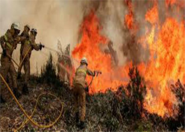 62 people died due to fire in portugal forests