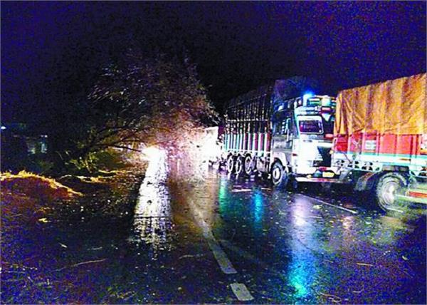 firozepur fazilka road caused several weeks to fall as trees fell