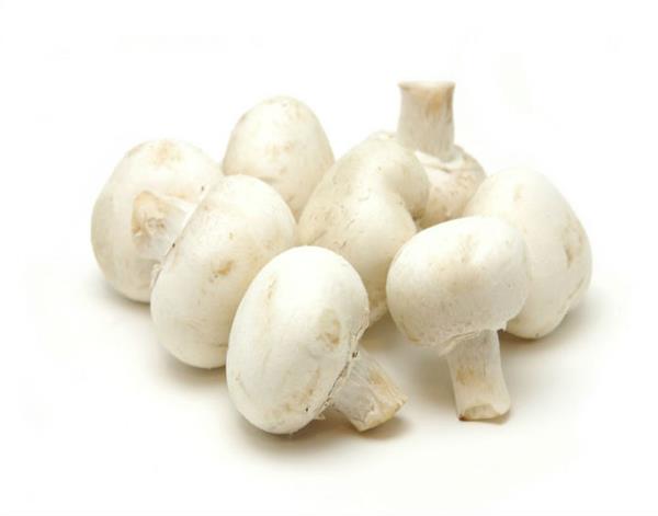 learn about the benefits of eating mushroom