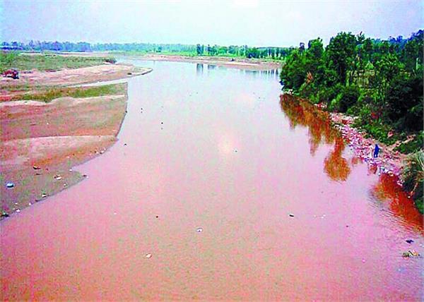 mining of the mafia of the mafia  proposal for the cleaning of the river saw