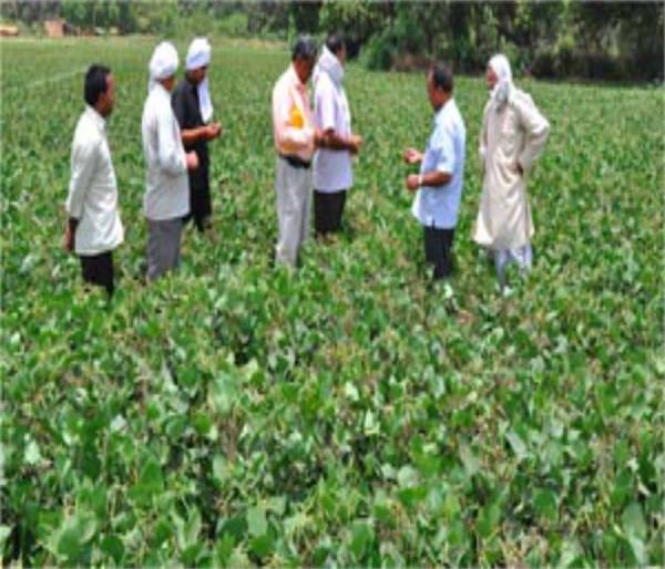 agriculture department