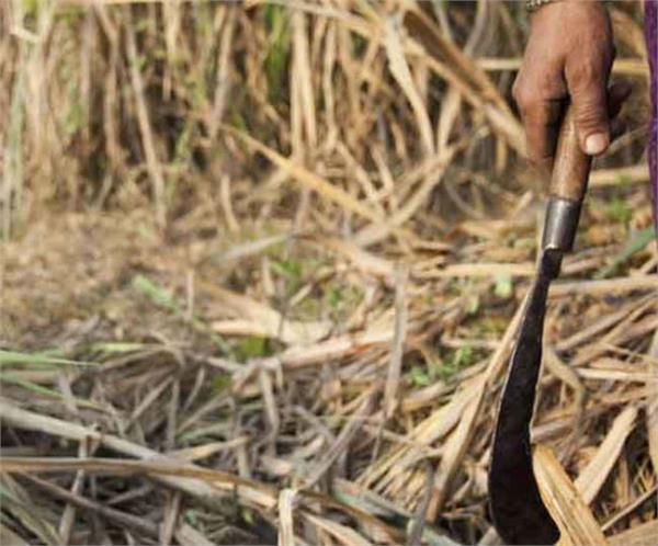 the man tried to rape  the girl attacked with a sickle