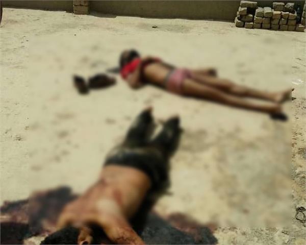 gangster  police  suicide