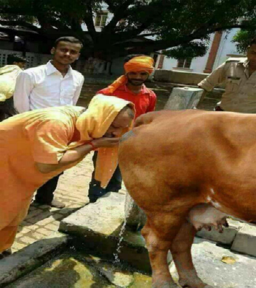 this picture of the chief minister on social media is going viral 