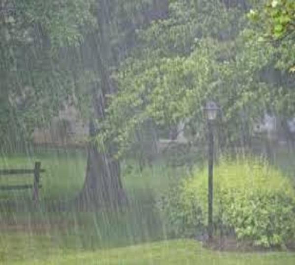 rainwater storage self industry