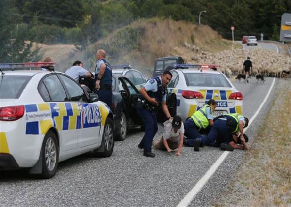 newzealand immigration and police raid on farm house
