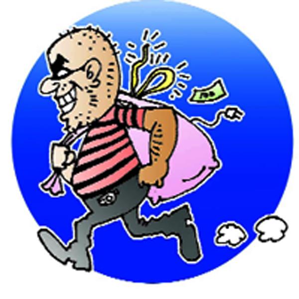 thieves  farmer  police