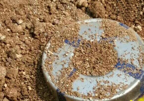 chhattisgarh  5 kg tiffin bomb recovered in sorana