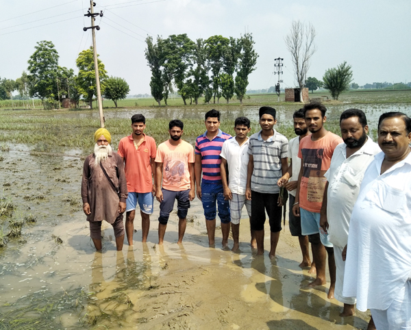 ਪਿੰਡ ਚੂਚਕਵਿੰਡ ਦੇ ਕਿਸਾਨਾਂ ਦੀ 50 ਏਕੜ ਫਸਲ ਹੋਈ ਪਾਣੀ ਨਾਲ ਨਸ਼ਟ