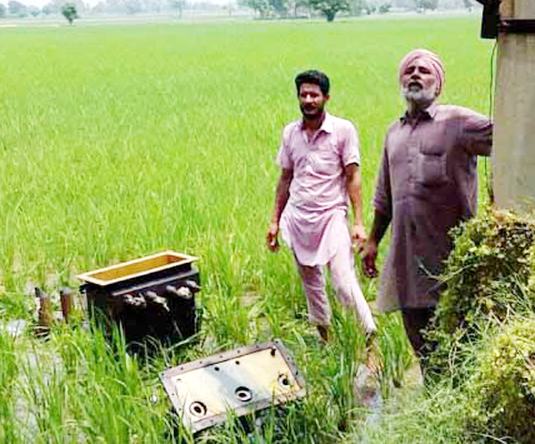 ਖੇਤਾਂ ''ਚ ਲੱਗੇ ਚਾਰ ਟਰਾਂਸਫਾਰਮਰਾਂ ਦਾ ਤਾਂਬਾ ਚੋਰੀ