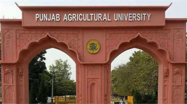 punjab state council of agriculture education