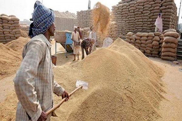 31 ਹਜ਼ਾਰ ਕਰੋੜ ਦੇ ਅਨਾਜ ਘਪਲੇ ਦੀ ਜਾਂਚ ਵੀ ਸ਼ੁਰੂ ਨਹੀਂ ਕਰ ਸਕੀ ਕਾਂਗਰਸ ਸਰਕਾਰ