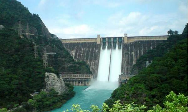 bhakhra dam news