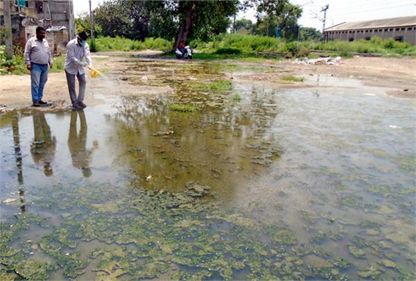 presence of dengue larvae in the houses  the corporation  s invoice cut