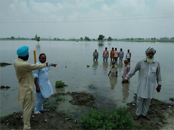 farmar problem