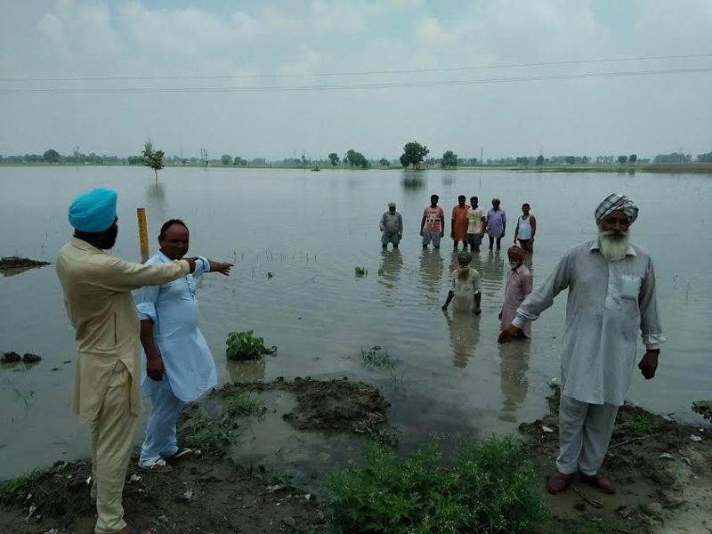 ਕਿਸਾਨਾਂ ਦਾ 25 ਏਕੜ ਝੋਨਾ ਪਾਣੀ ''ਚ ਡੁੱਬਿਆ
