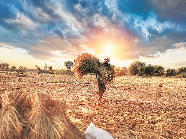 ਪੰਜਾਬ ਦੇ ਕਿਸਾਨਾਂ ''ਤੇ GST ਦਾ ਬੋਝ, ਖੇਤੀ ਆਮਦਨ ਨੂੰ ਲੱਗੇਗਾ ਝਟਕਾ!