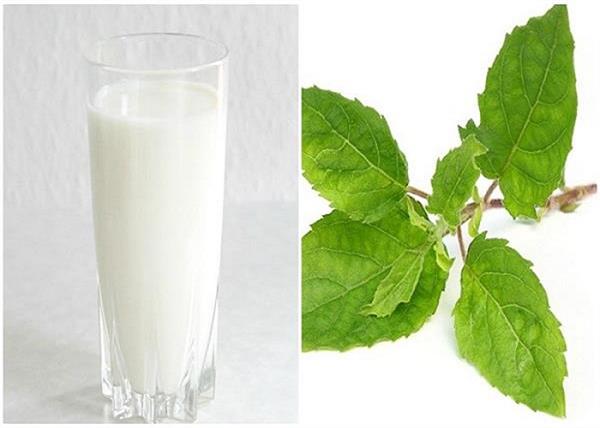 tulsi milk will get untimely benefits