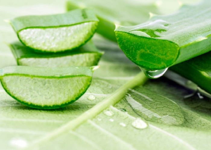 ਐਲੋਵੀਰਾ ਦੇ ਇਨ੍ਹਾਂ ਨੁਕਸਾਨਾਂ ਬਾਰੇ ਜਾਣ ਕੇ ਹੋ ਜਾਵੋਗੇ ਹੈਰਾਨ