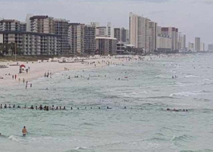 ਸਮੁੰਦਰ ਵਿਚ ਡੁੱਬਦੇ ਹੋਏ ਪਰਿਵਾਰ ਨੂੰ ਬਚਾਉਣ ਲਈ ਅਣਜਾਣ ਲੋਕਾਂ ਨੇ ਬਣਾਈ 'ਹਿਊਮਨ ਚੇਨ'