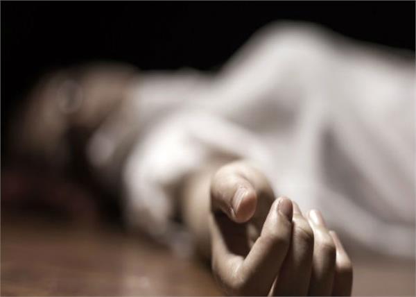 the dead body of the unknown dogs from the forest got corpse   