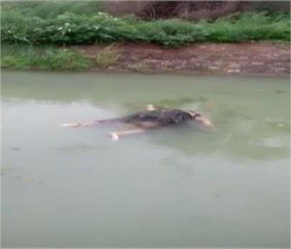 police deadbody found in the canal