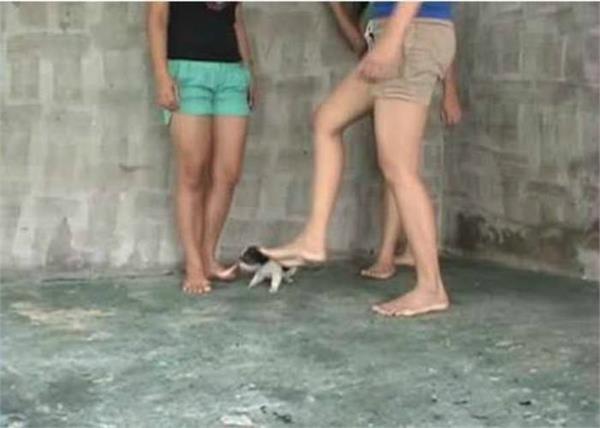 girls and puppy you cannot see this video
