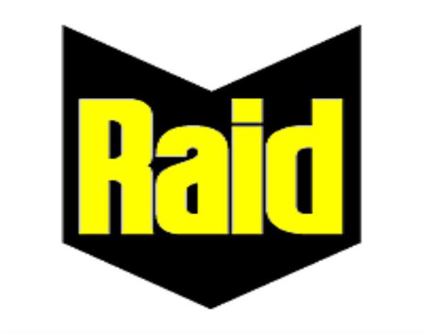 d  s  p  vigilance raid   