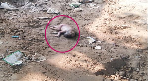 fetal found on sangrur bus stand