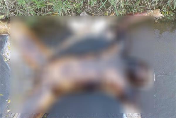 the body of one person was recovered from the canal of village gahlevala