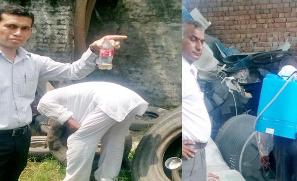 2 larva of dengue from shops