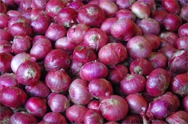 apply on the limits of keeping onion merchandise stocks  central government