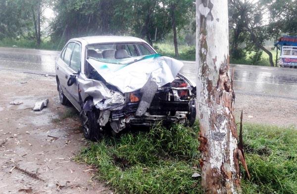 car short elephant collision  one dead  5 injured