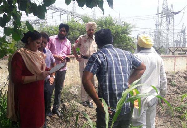 farmer distraction from panchayat paddy on electricity grid