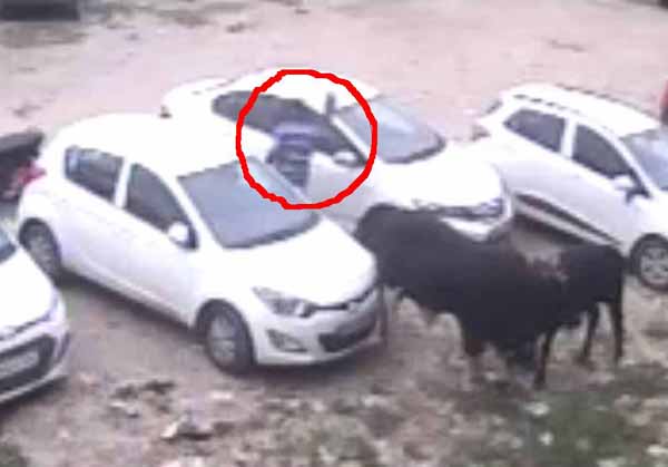 ਪਾਰਕਿੰਗ ਵਿਚ ਖੜ੍ਹੀ ਕਾਰ ਦੇ ਸ਼ੀਸ਼ੇ ਤੋੜ ਕੇ ਲੁਟੇਰਾ ਬੈਗ ਕੱਢ ਕੇ ਫਰਾਰ