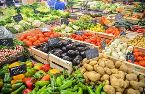 patients made with chemicals in punjab  punjabis made vegetables and fruits