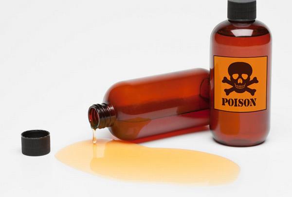 the young man poisoned with the intention of killing the neighbor  1 nominee