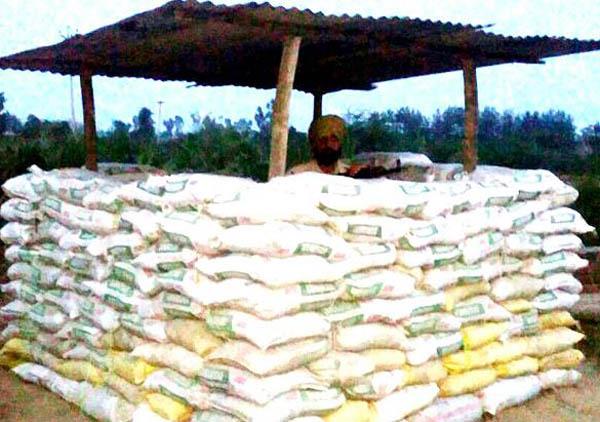 police army coordination   security campaign launched