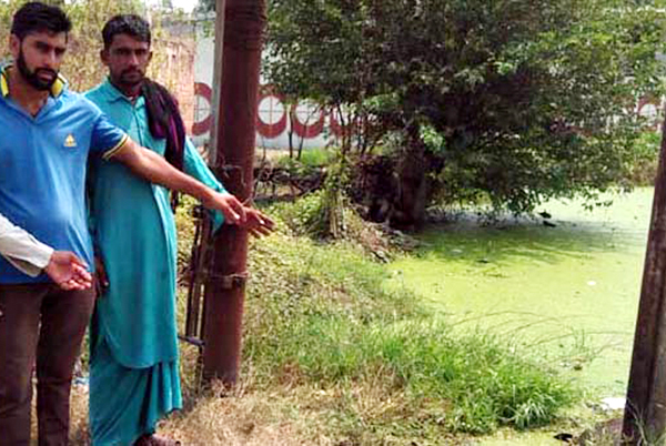 ਕਰੰਟ ਲੱਗਣ ਨਾਲ 2 ਮੱਝਾਂ ਮਰੀਆਂ