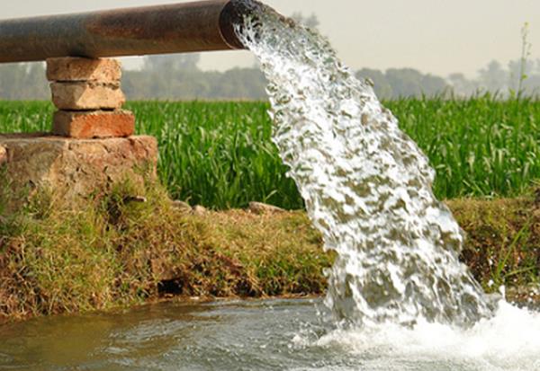 hoshiarpur farmer not ready to leave power subsidy