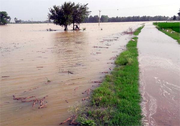 floods in the beas river  flooding in the fields and water in the fields