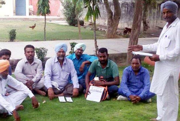organizations protested after cutting 11 trees planted