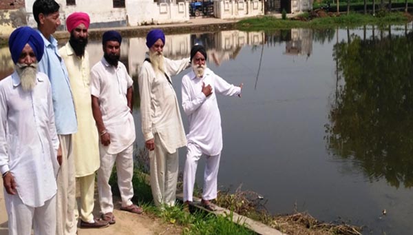 ਪਾਣੀ ਦੀ ਨਿਕਾਸੀ ਨਾ ਹੋਣ ਕਾਰਨ ਫਸਲ ਬਰਬਾਦ