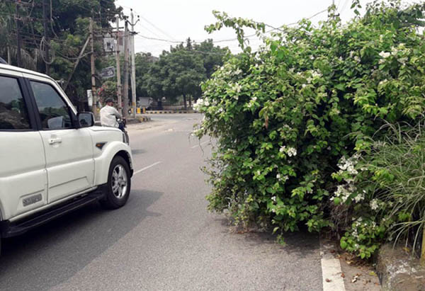 ਪ੍ਰਸ਼ਾਸਨ ਹਾਦਸੇ ਦੀ ਉਡੀਕ ''ਚ